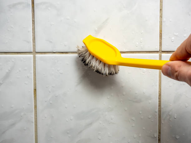 Best Office Mold Removal Services  in Terrace Park, OH