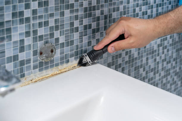 Best Toxic Mold Removal  in Terrace Park, OH