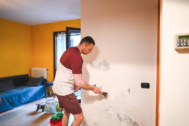 Mold Removal and Inspection in Terrace Park, OH