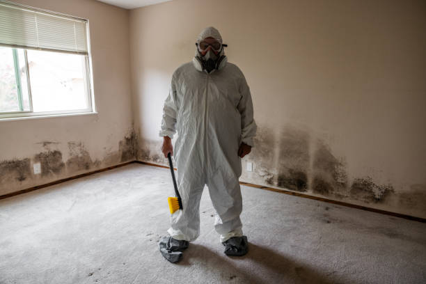 Best Commercial Mold Removal  in Terrace Park, OH